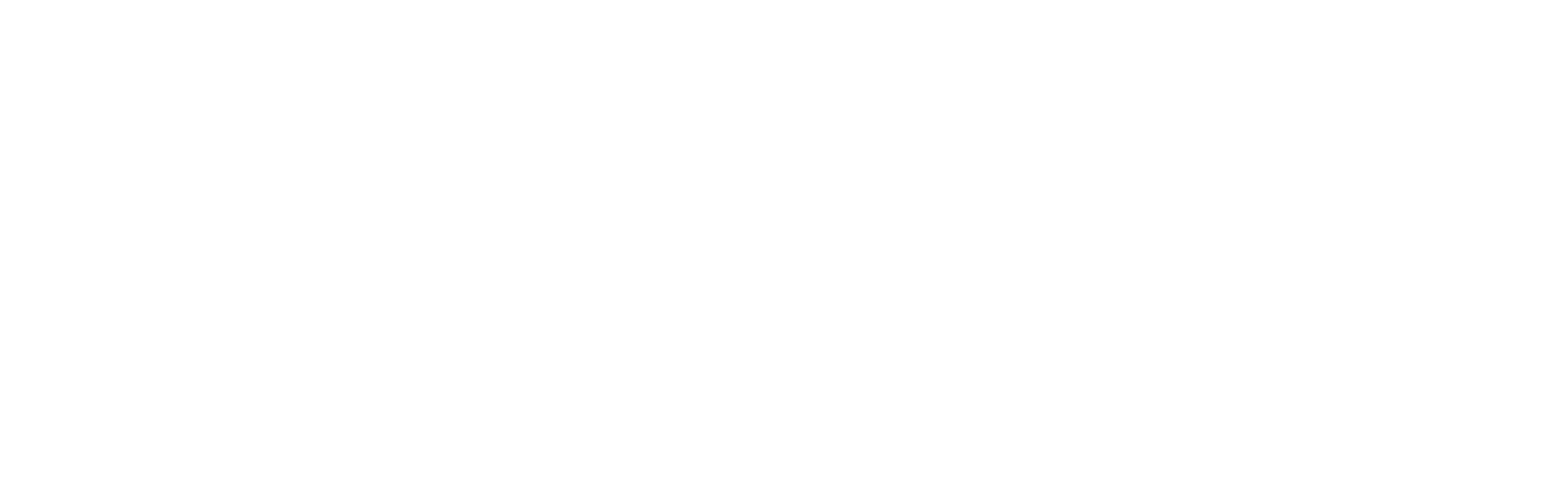Birdwing ITS